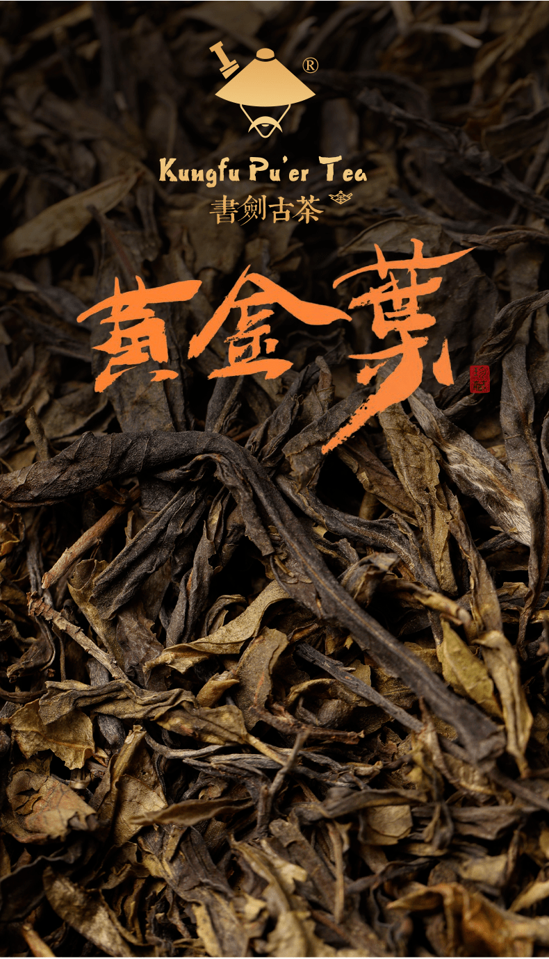 书剑说普洱| 黄金叶：茶有一老，如有一宝_搜狐网