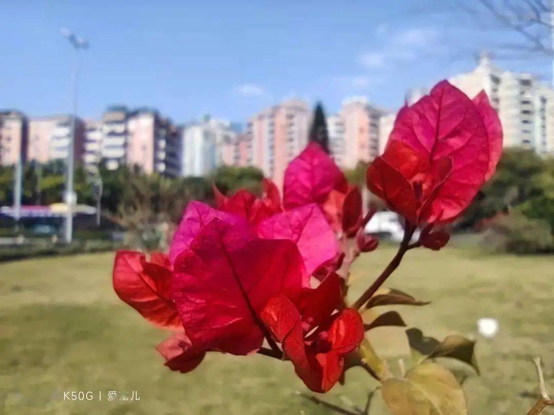 王者|Redmi K50 电竞版首发体验:3299 元起售,能否焊上游戏手机的大门?