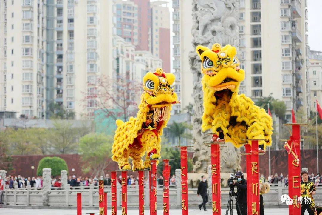 看了小半辈子舞狮才知道中国根本没狮子