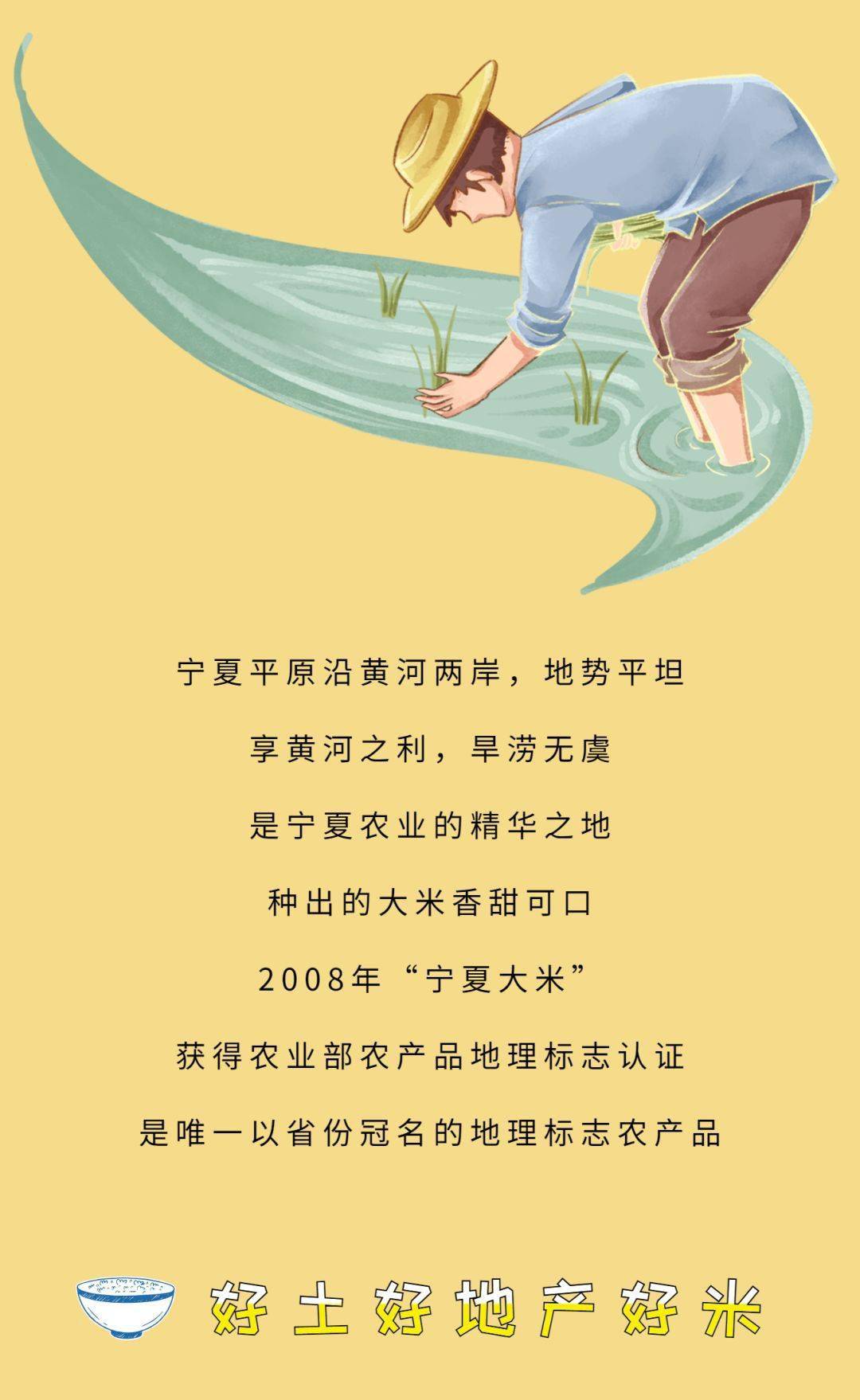 来自宁夏,一粒好大米的故事……_家乡_农产品_乡味