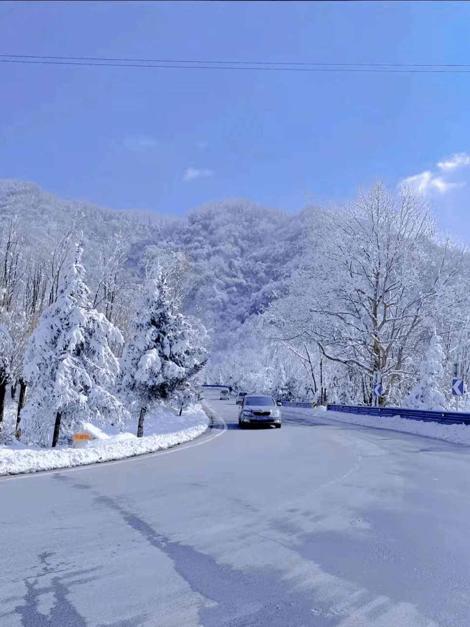 儿时溜冰的回忆白雪压枝头