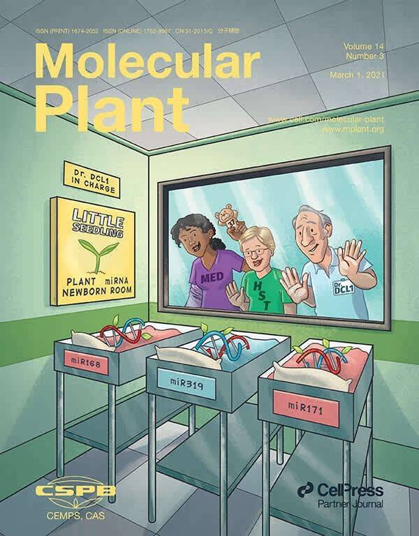 我国科技期刊学术影响力持续提升 7种期刊跻身学科第一