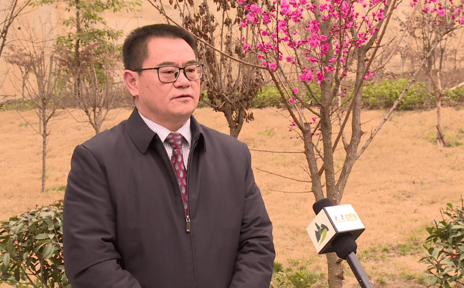 【人大代表风采】高金源:心无旁骛做教育 脚踏实地谱芳华_大关_张倩