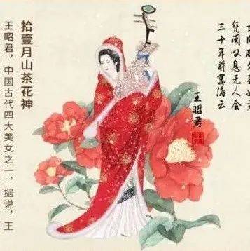 古代花神丨斑斓四季里，邂逅浪漫花事_金行家_结论_责任
