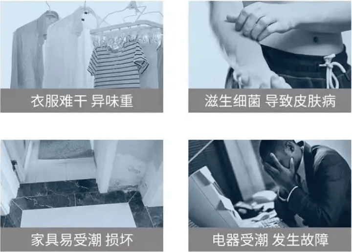 加湿器|一“灯”三用!拒绝干燥星人,有它就够了!