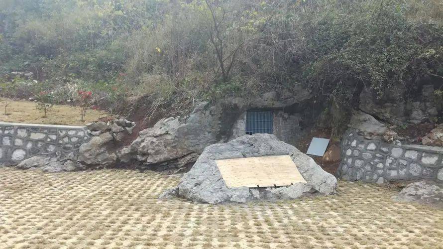 观往知来 | 三探柳江人洞_遗址_刘兴诗_研究