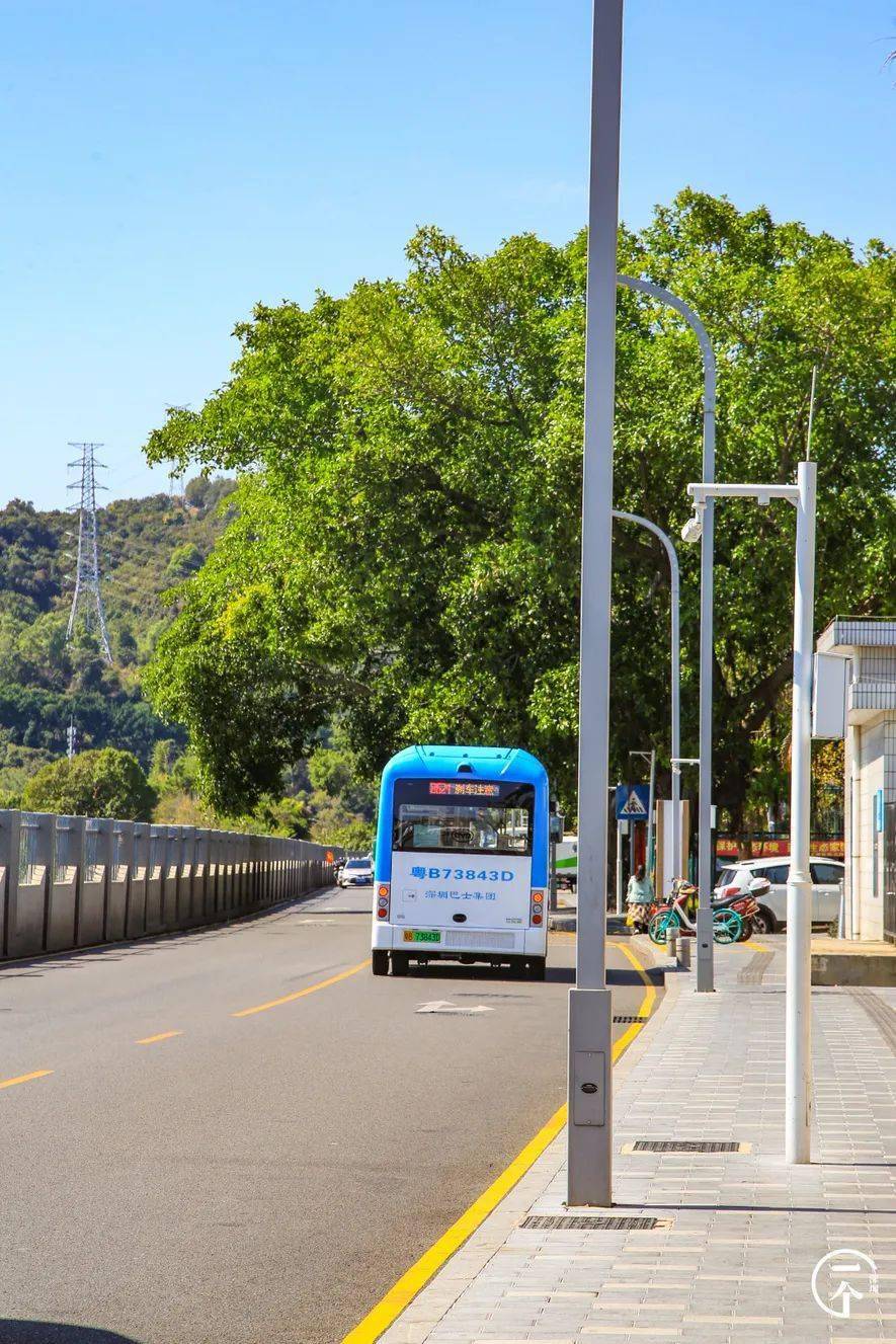 深圳的士村师傅月入7000住700单间