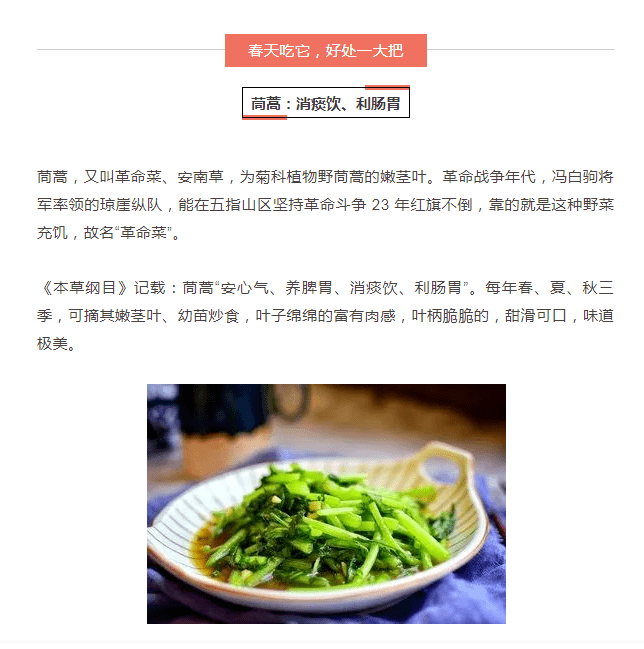 春天必吃的14大黄金菜 一种菜调一种病 野菜 荠菜 人参菜 春天必吃的14大黄金菜 一种菜调一种病 野菜 荠菜 人参菜