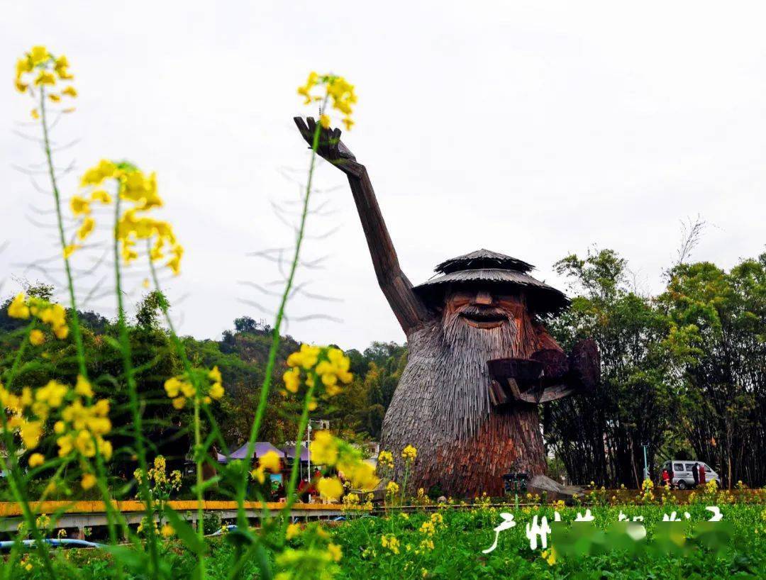 花都10條精品賞花線路出爐這個春天約定你