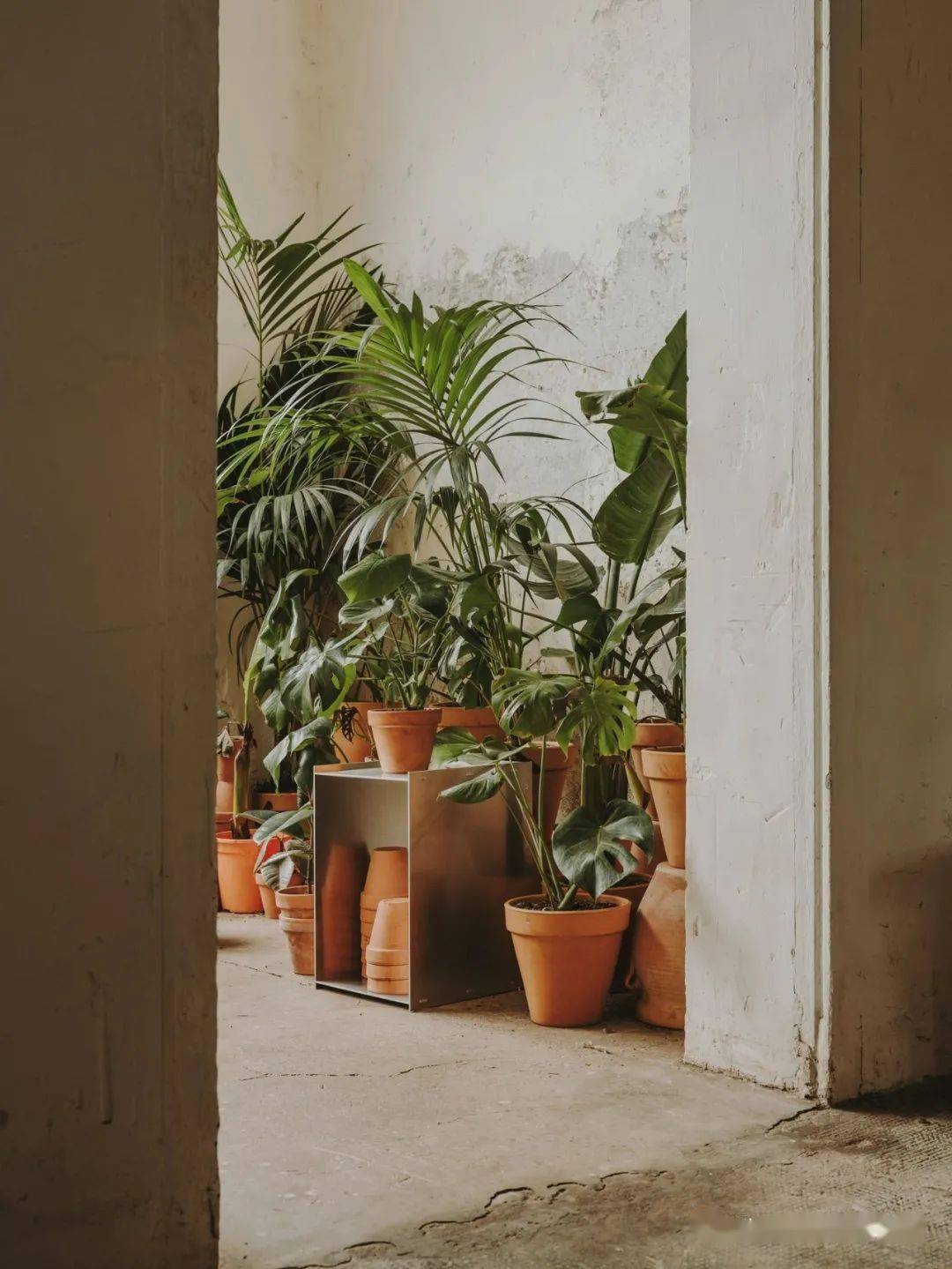 歌单歌单Vol.2：假如房间自带BGM，你的会是哪一首？