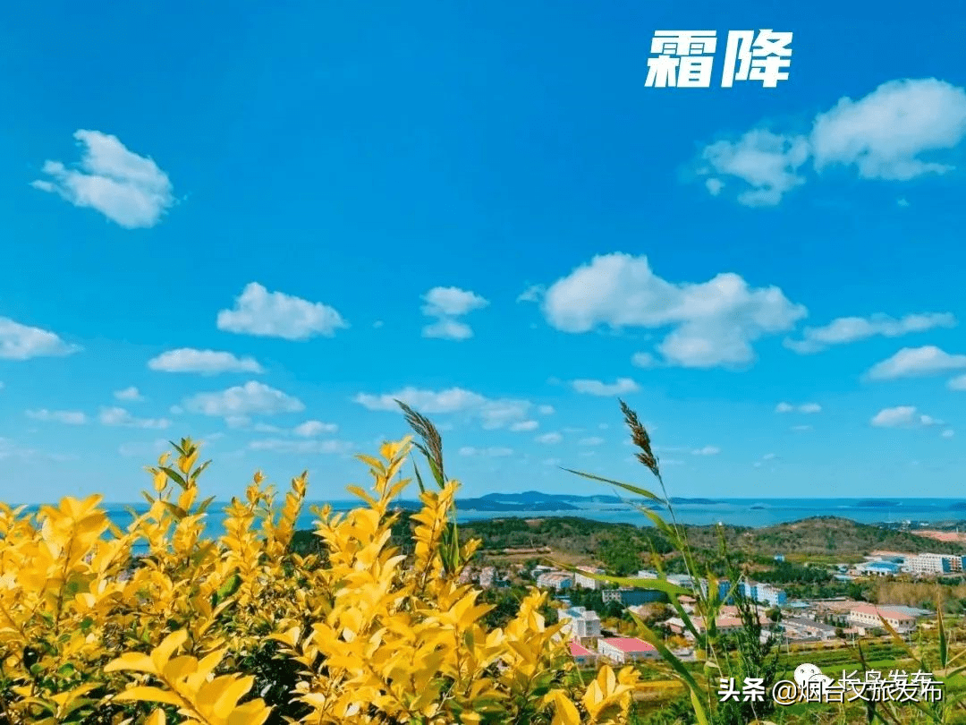 落花长岛版二十四节气壁纸，够浪漫~