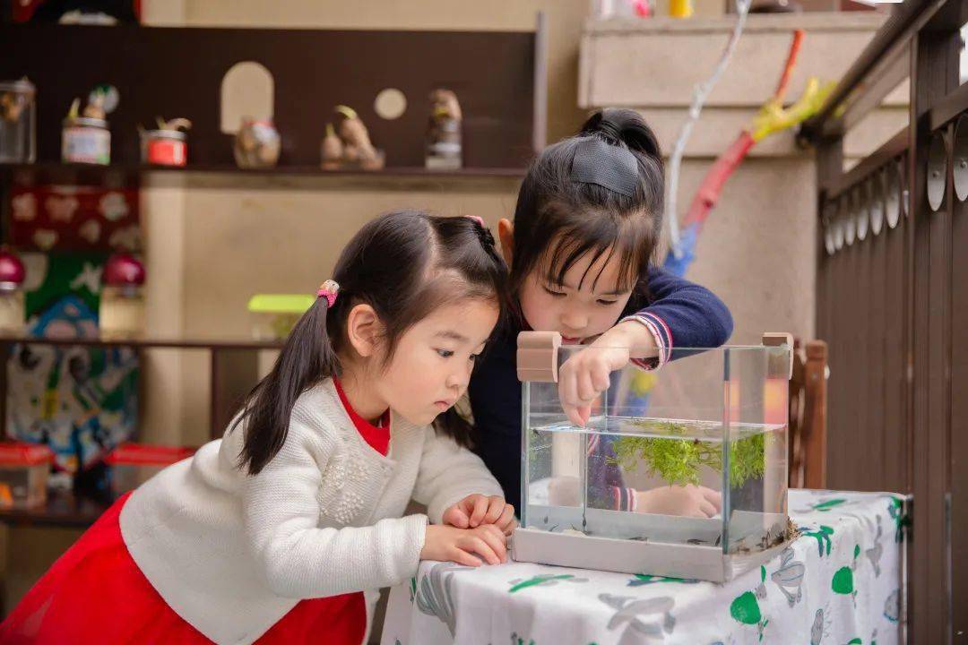 杭州市兰苑幼儿园网站_浙江省现代化学校评估结果_杭州市行知新城幼儿园