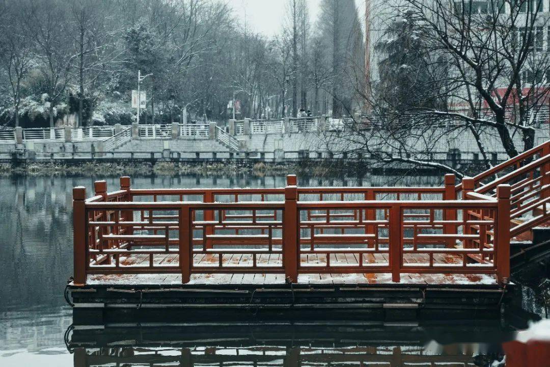 風雨送春歸 飛雪迎春到恭喜你趕上師院雪景末班車凜冬終將過去待春暖