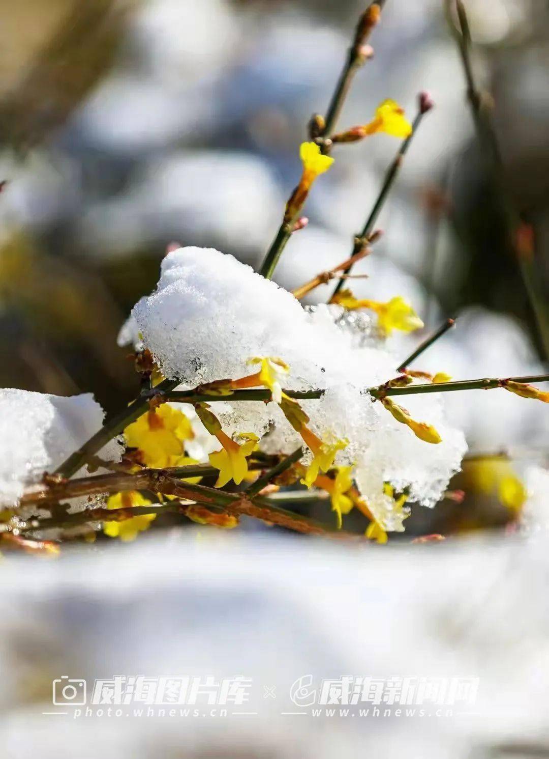 季节|写给威海的「情书」