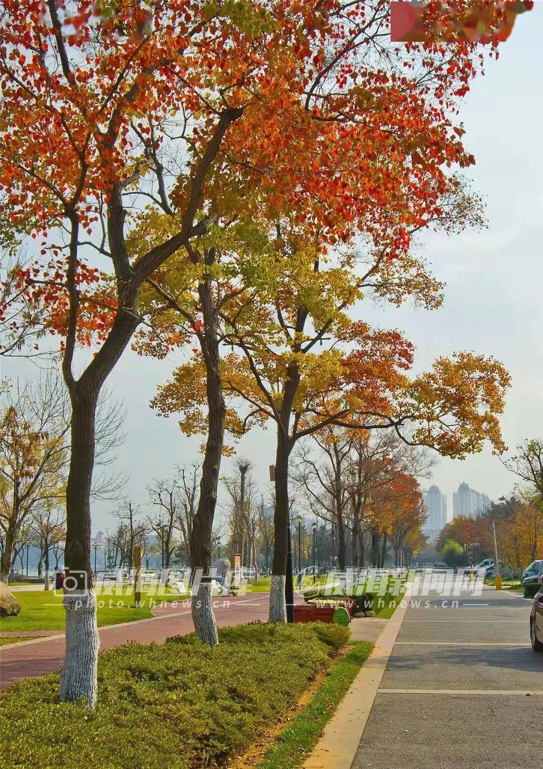 季节|写给威海的「情书」