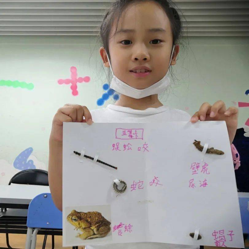 课程招募让我们在自然科学课中寻找自然界中的无穷奥秘吧