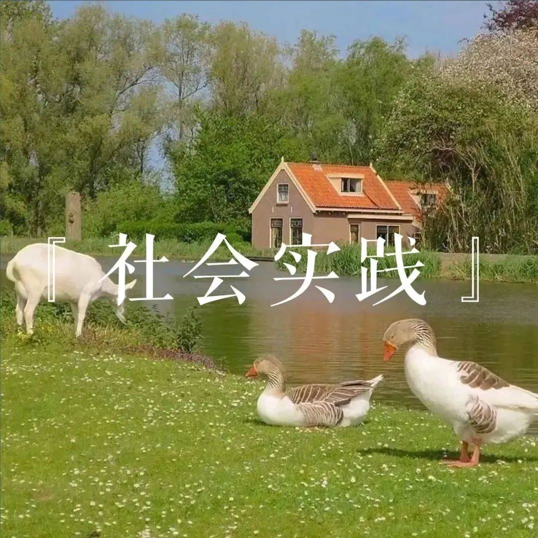 莫言
