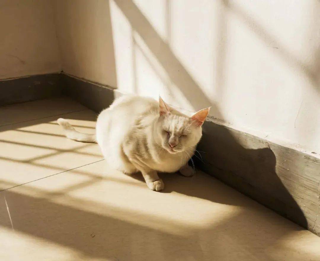 地大的"绰号"你知道吗_未来城_专业_地质