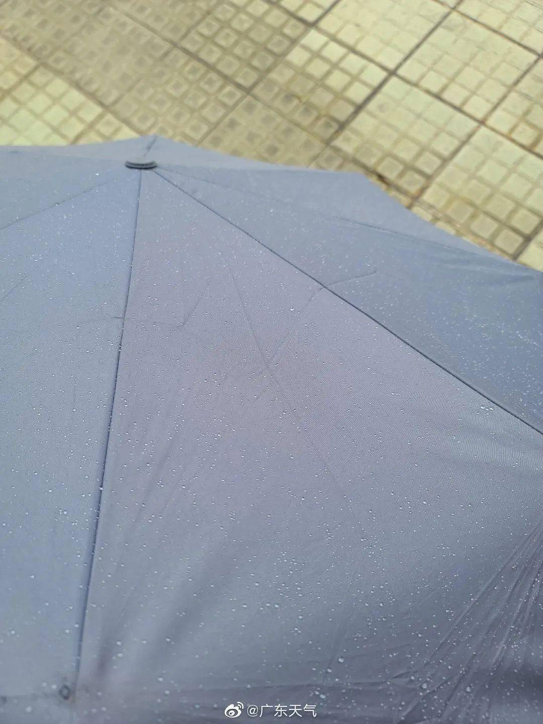 天气_网友_视频