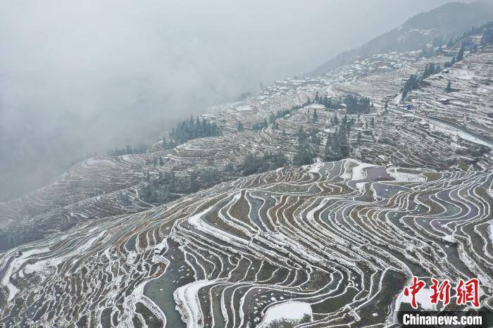 影响|贵州春雪落梯田