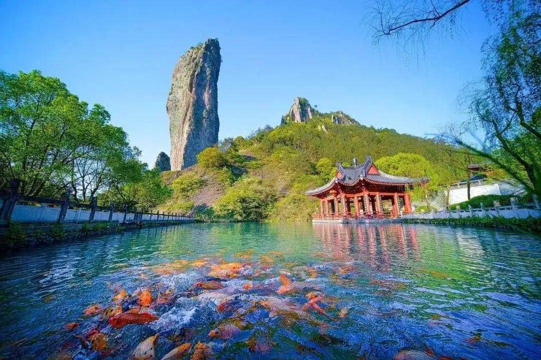 生态丽水树立新标杆喜迎丽水市第五次党代会系列综述之四