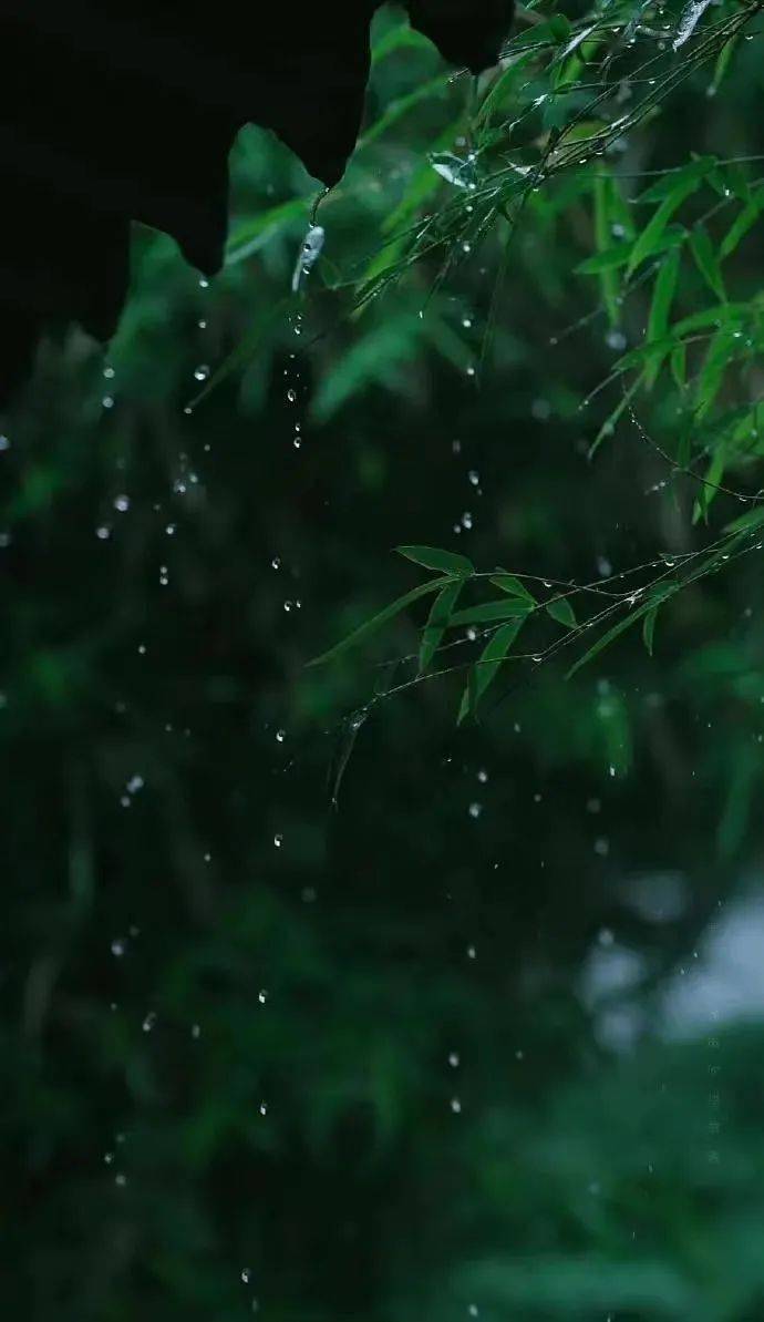 空山新雨电影图片