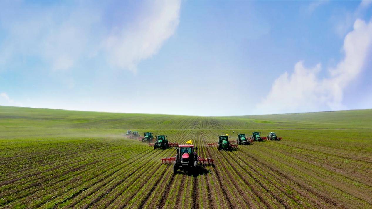 机械进农田促耕地质量工作(央广网发 依安县宣传部 供图)2021年