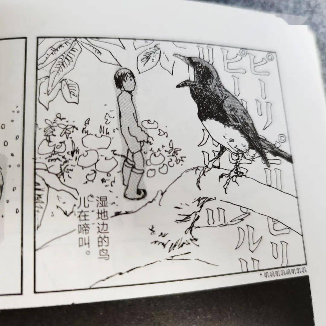 城市生活|一本从日本乡间吹来的漫画，那是五十岚大介的桃花源