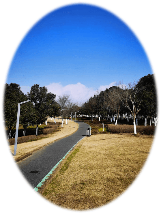 游记‖ 游红石咀公园_冬泳_巢湖_世界