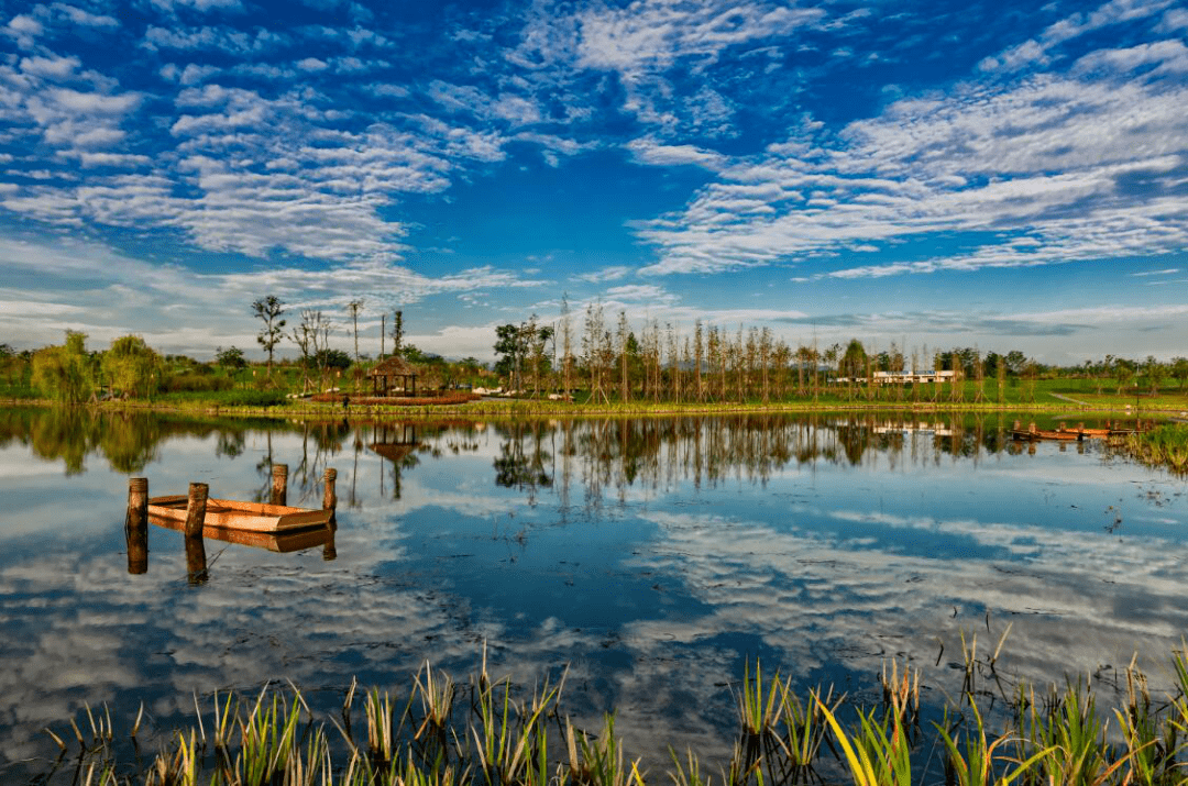 新都白鹤岛湿地公园图片