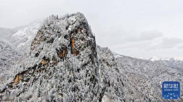 游客|春雪亦如画