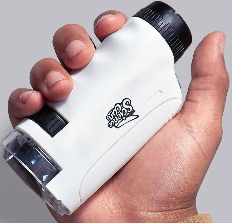 肉眼|好神奇！日常物品放大120倍，你还认得它们吗？