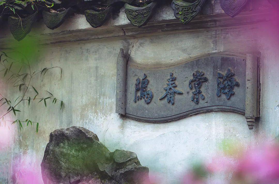 海棠|地上织绣，苏州园林的花街铺地