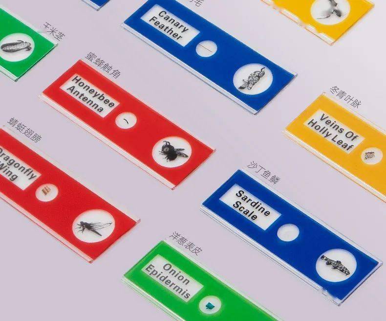 肉眼|好神奇！日常物品放大120倍，你还认得它们吗？