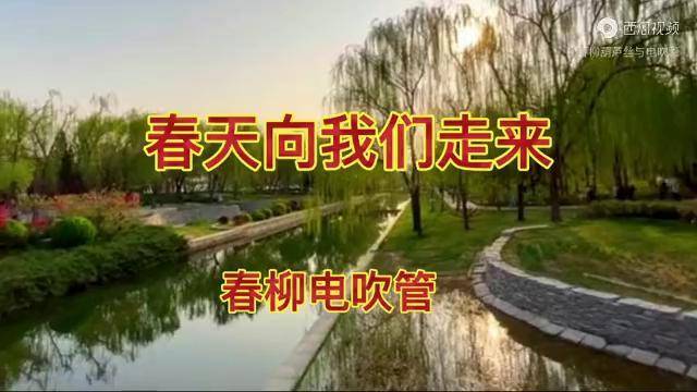 春柳电吹管春天向我们走来