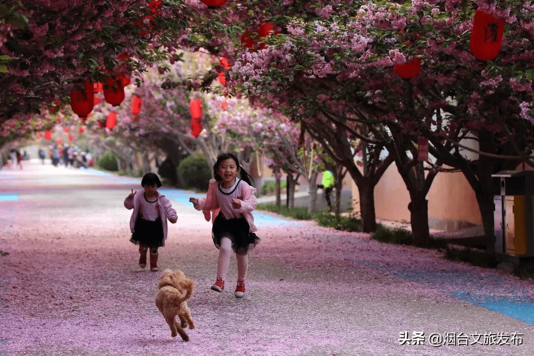 地方|刚刚，名单公示！烟台这些地方要火，看看有没有你家