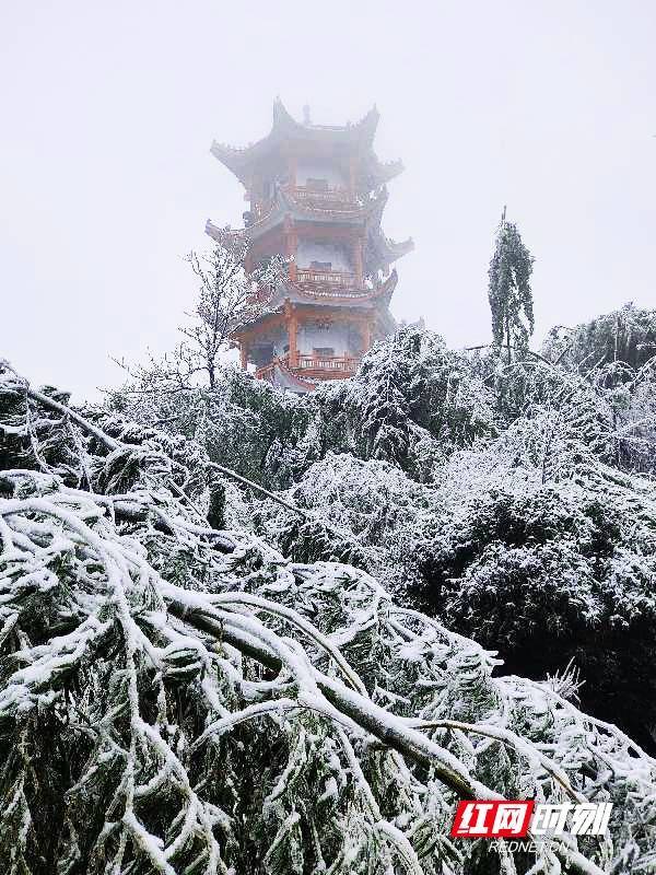 显得|耒阳：蔡伦竹海春光雪景如人间仙境