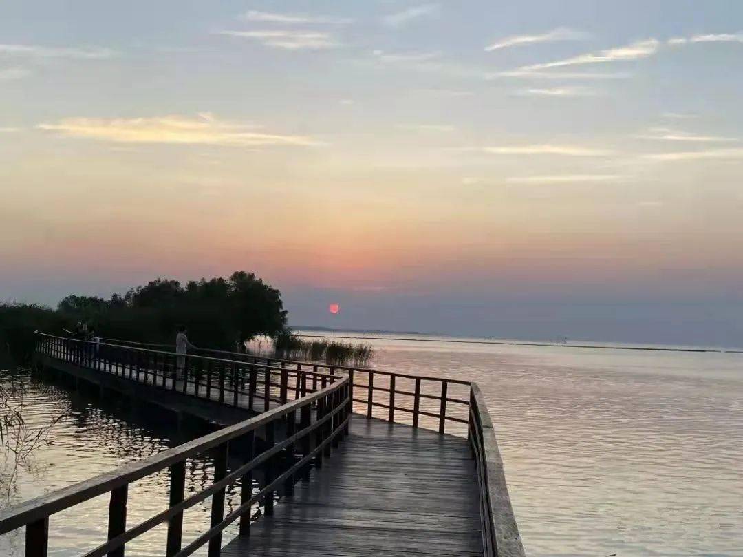 巢湖20个网红打卡点巢湖槐林省级湿地公园