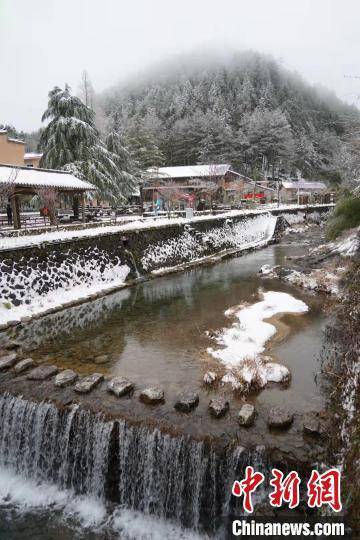 张明珉|浙江百山祖国家公园迎降雪 风景如画