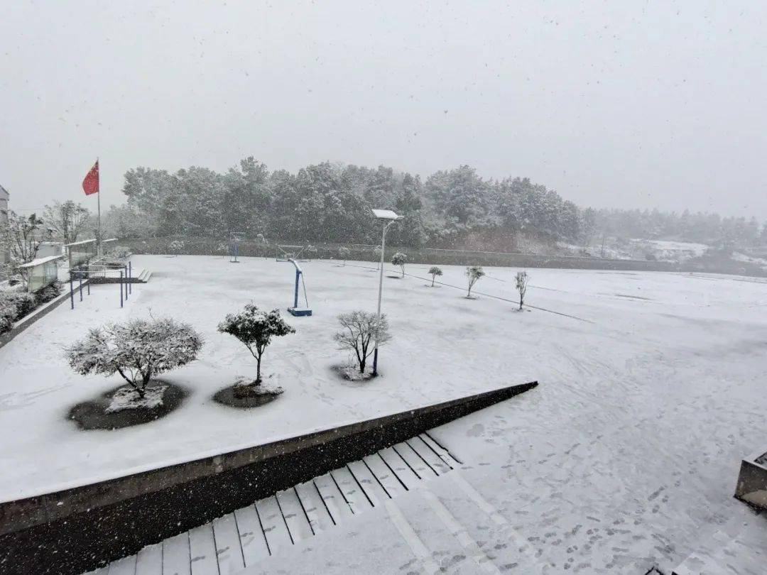 白鹭洲中学雪景图片