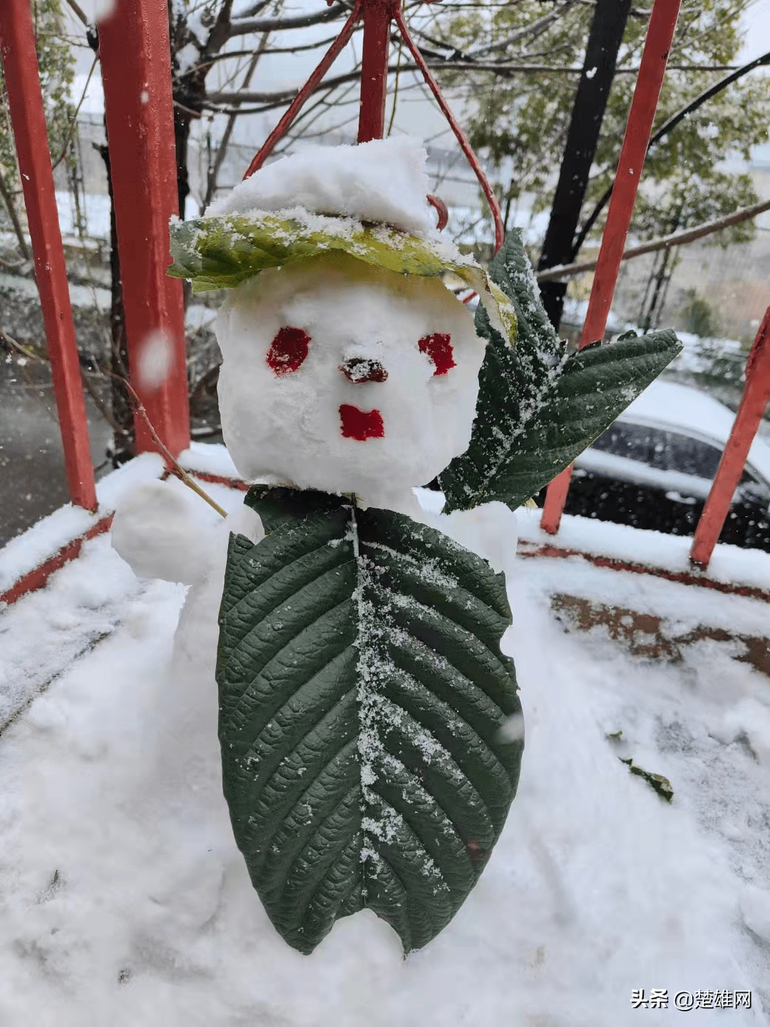 楚雄市民花式堆雪人大赛开赛快看看谁的创意最拉风