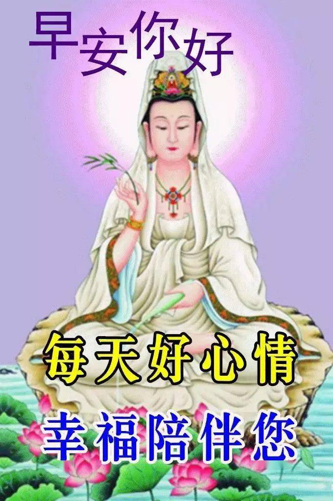 2月24日漂亮的早上好动态表情图片大全早上好祝福动态美图大全