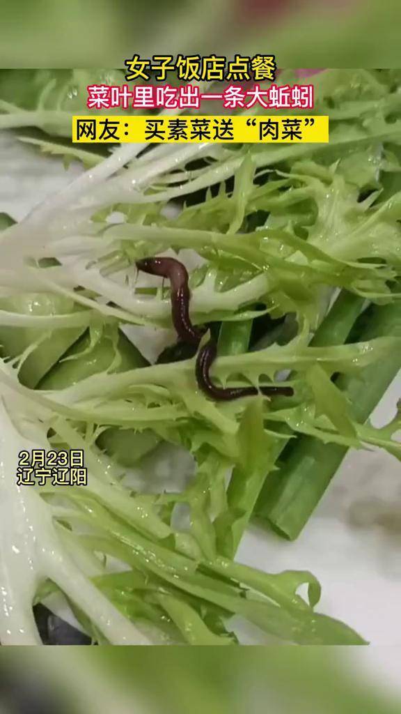 女子饭店点餐菜叶里吃出一条大蚯蚓网友买素菜送肉菜106245234