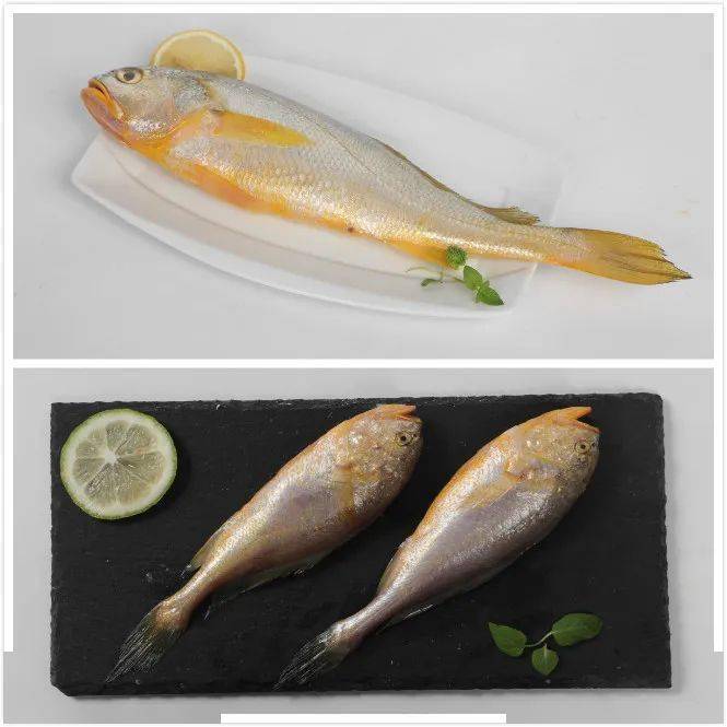 价格……_童鱼_梅童_头梅