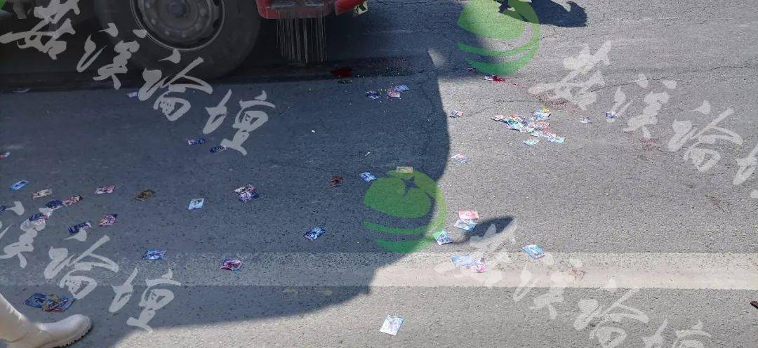 恐怖桥头一小学生被大货车碾压满地碎肉凶多吉少