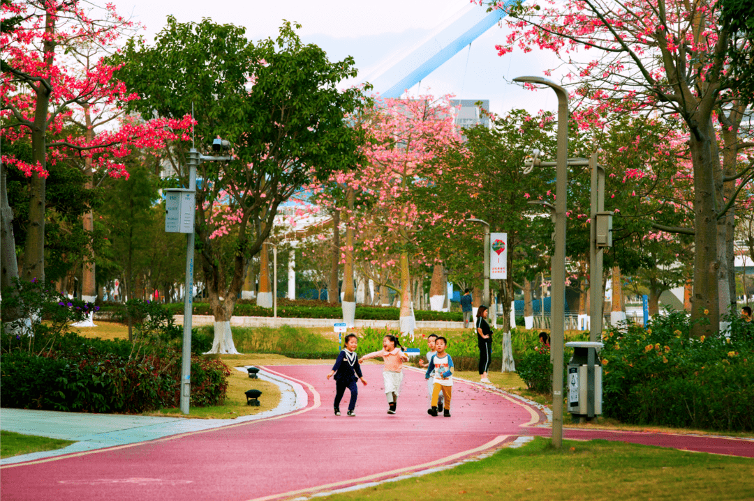 黄阁丨光影之间_摄影家协会_作品_南沙区