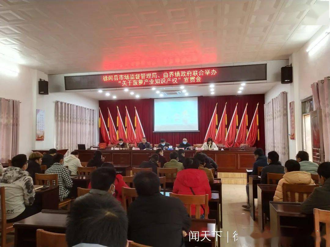 举办菠萝产业知识产权宣贯会 助力菠萝高质量发展_市场_生产_曲界