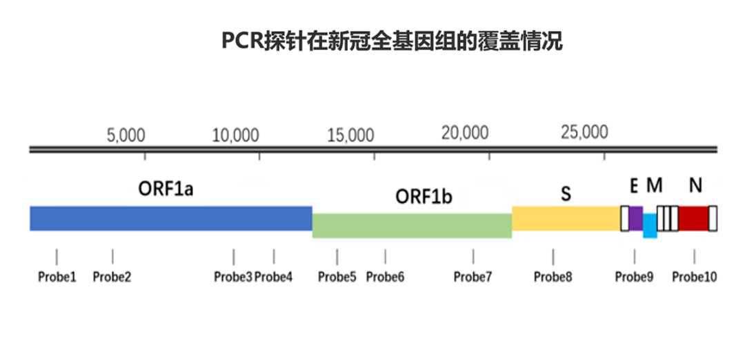 菁良covid-19假病毒質控品有效覆蓋含新型冠狀病毒全基因組序列,適配