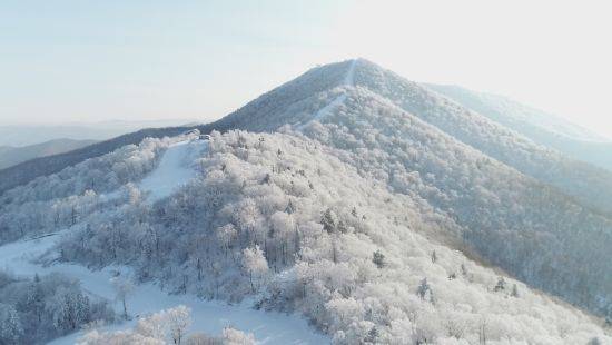 度假区|“哈沪两地冰雪运动产业发展项目”在亚布力签订