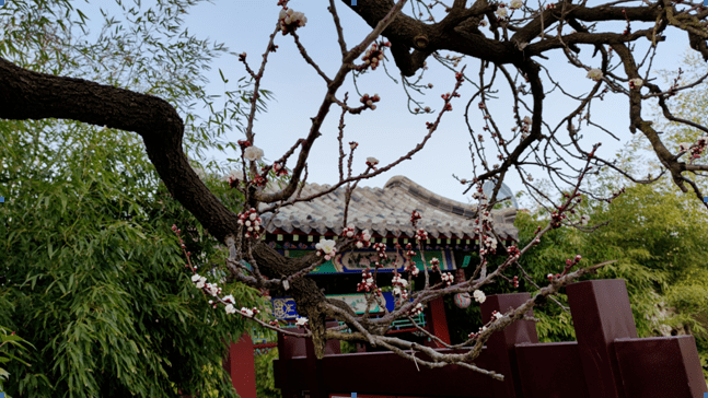 阳光|2022的旅行flag，从威海的四季开始